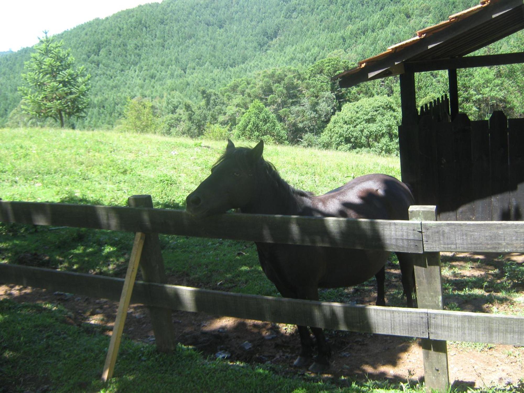 Villa Caminho Do Sol Monte Verde  Esterno foto