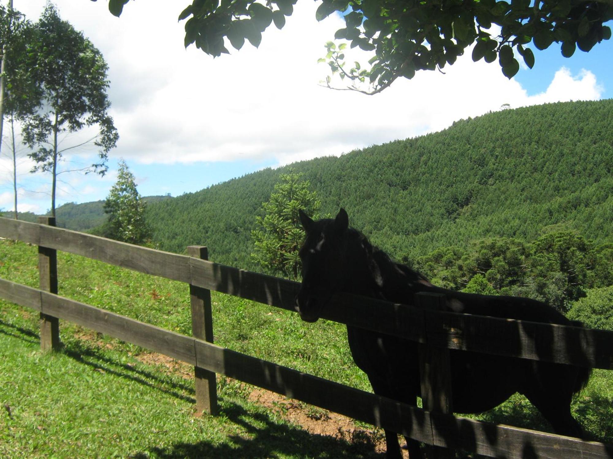 Villa Caminho Do Sol Monte Verde  Esterno foto